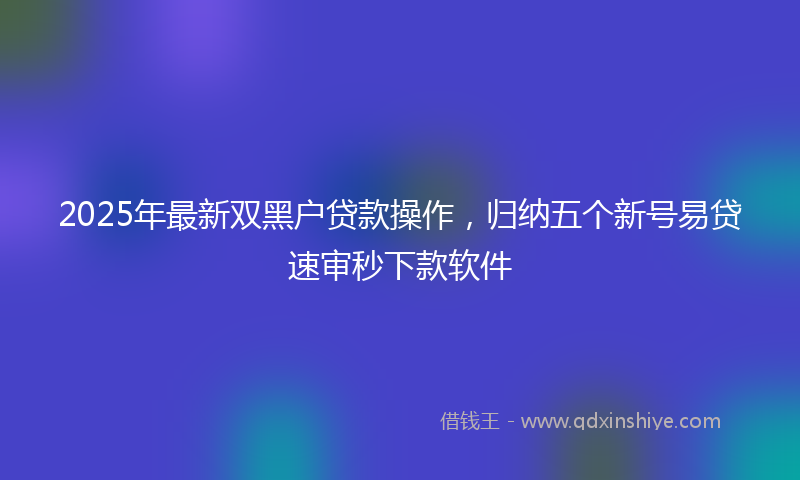 2025年最新双黑户贷款操作，归纳五个新号易贷速审秒下款软件