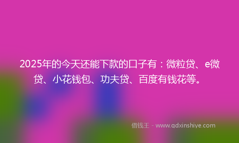 2025年的今天还能下款的口子有：微粒贷、e微贷、小花钱包、功夫贷、百度有钱花等。
