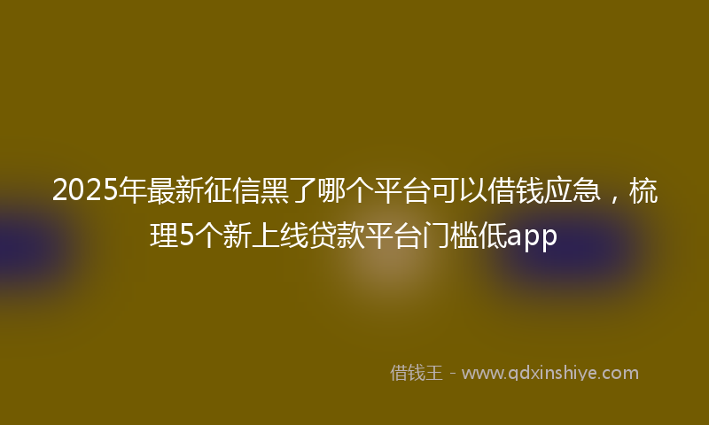 2025年最新征信黑了哪个平台可以借钱应急，梳理5个新上线贷款平台门槛低app