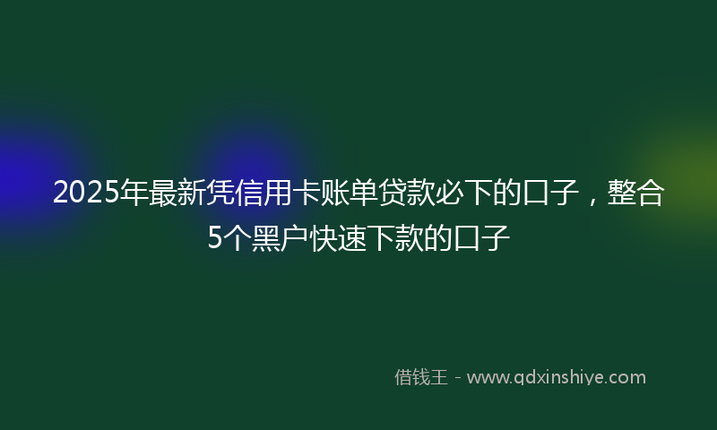 2025年最新凭信用卡账单贷款必下的口子，整合5个黑户快速下款的口子