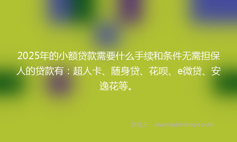 2025年的小额贷款需要什么手续和条件无需担保人的贷款有：超人卡、随身贷、花呗、e微贷、安逸花等。