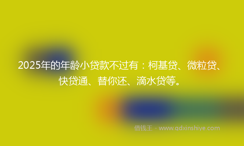 2025年的年龄小贷款不过有：柯基贷、微粒贷、快贷通、替你还、滴水贷等。