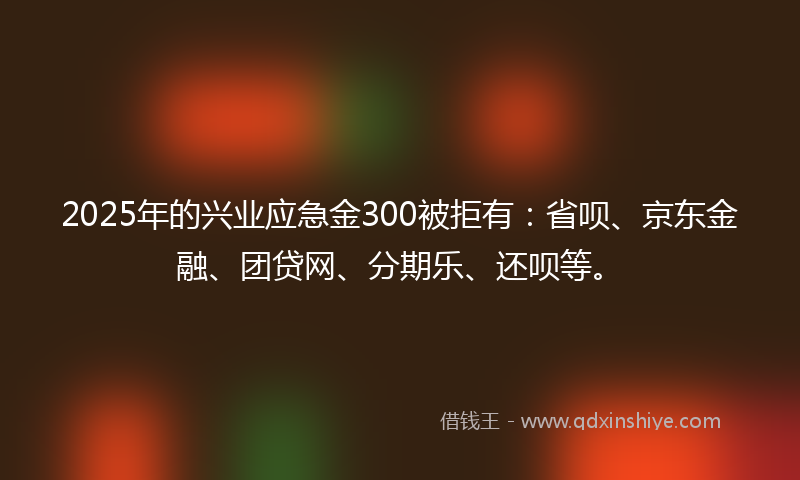 2025年的兴业应急金300被拒有：省呗、京东金融、团贷网、分期乐、还呗等。