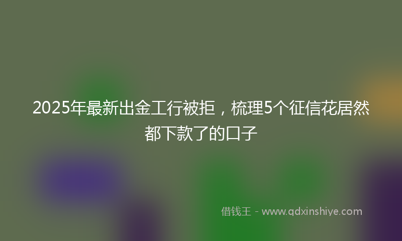 2025年最新出金工行被拒，梳理5个征信花居然都下款了的口子