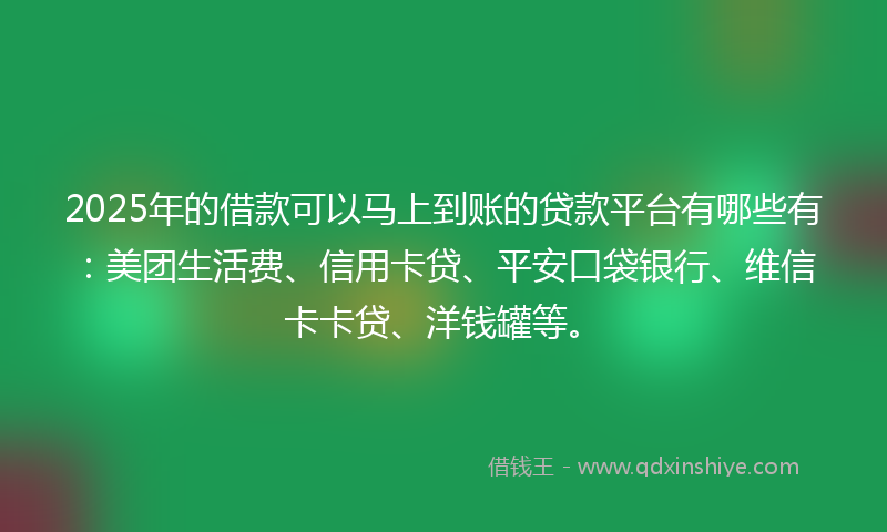 2025年的借款可以马上到账的贷款平台有哪些有：美团生活费、信用卡贷、平安口袋银行、维信卡卡贷、洋钱罐等。