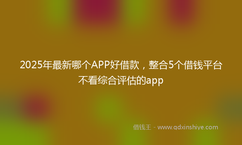 2025年最新哪个APP好借款，整合5个借钱平台不看综合评估的app
