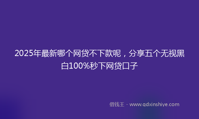 2025年最新哪个网贷不下款呢，分享五个无视黑白100%秒下网贷口子