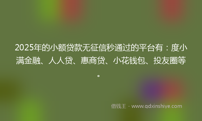 2025年的小额贷款无征信秒通过的平台有：度小满金融、人人贷、惠商贷、小花钱包、投友圈等。
