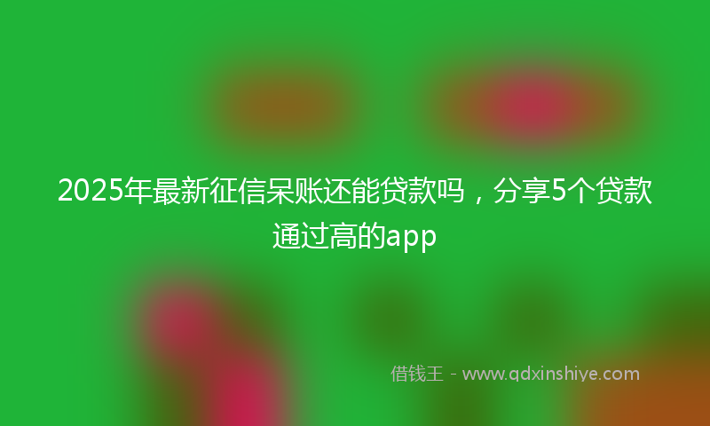 2025年最新征信呆账还能贷款吗，分享5个贷款通过高的app
