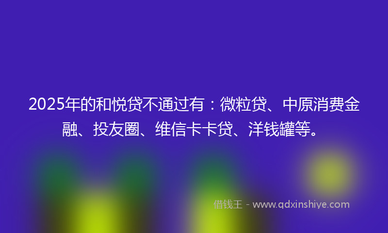 2025年的和悦贷不通过有：微粒贷、中原消费金融、投友圈、维信卡卡贷、洋钱罐等。