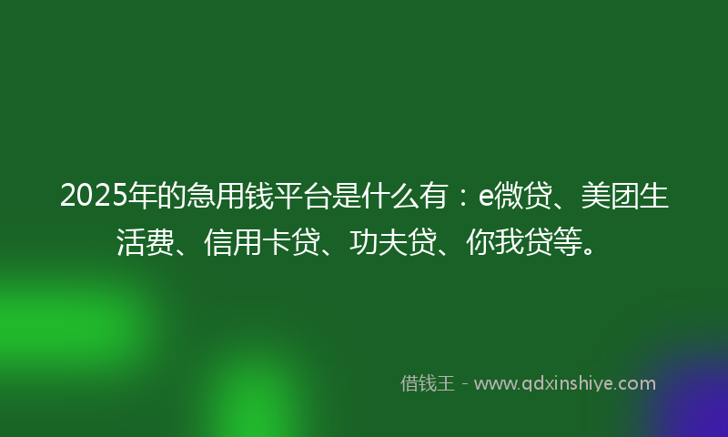 2025年的急用钱平台是什么有：e微贷、美团生活费、信用卡贷、功夫贷、你我贷等。