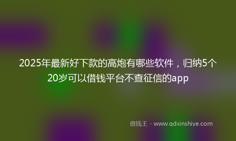 2025年最新好下款的高炮有哪些软件，归纳5个20岁可以借钱平台不查征信的app