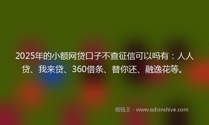 2025年的小额网贷口子不查征信可以吗有：人人贷、我来贷、360借条、替你还、融逸花等。