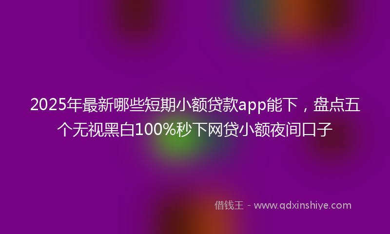 2025年最新哪些短期小额贷款app能下，盘点五个无视黑白100%秒下网贷小额夜间口子