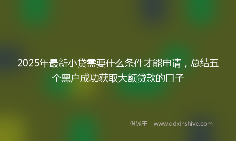 2025年最新小贷需要什么条件才能申请，总结五个黑户成功获取大额贷款的口子