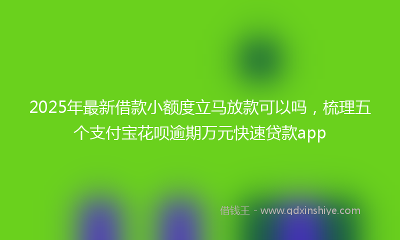 2025年最新借款小额度立马放款可以吗，梳理五个支付宝花呗逾期万元快速贷款app