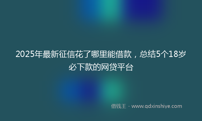 2025年最新征信花了哪里能借款，总结5个18岁必下款的网贷平台