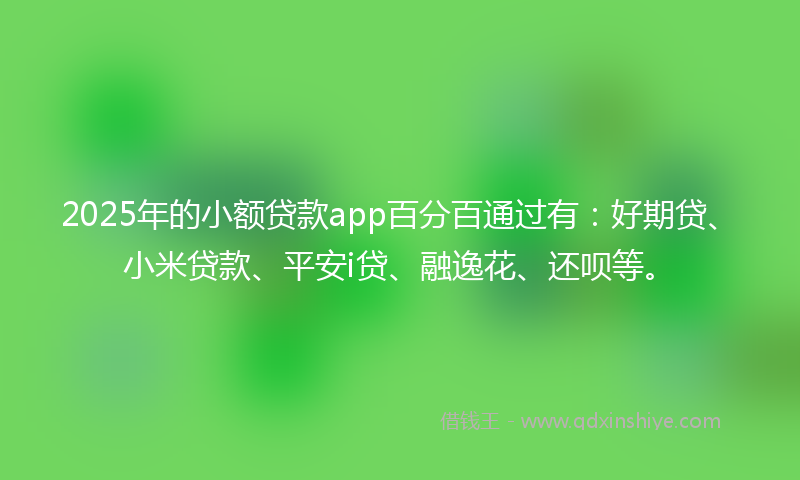 2025年的小额贷款app百分百通过有：好期贷、小米贷款、平安i贷、融逸花、还呗等。