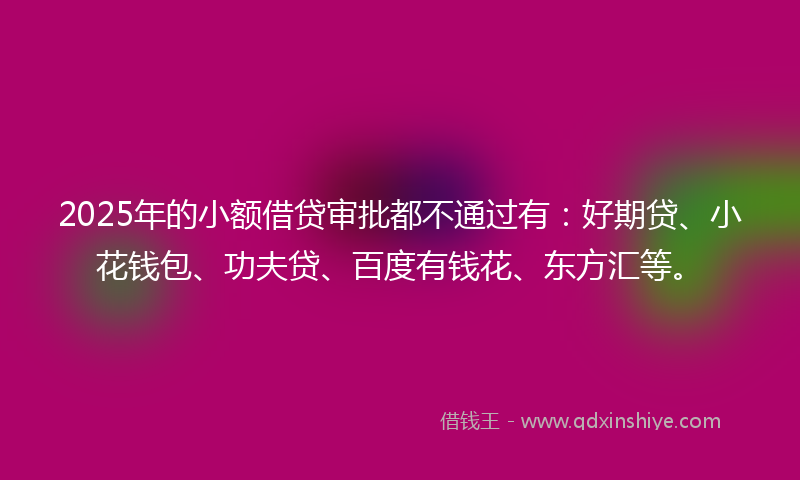 2025年的小额借贷审批都不通过有：好期贷、小花钱包、功夫贷、百度有钱花、东方汇等。