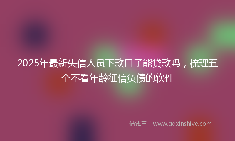 2025年最新失信人员下款口子能贷款吗，梳理五个不看年龄征信负债的软件