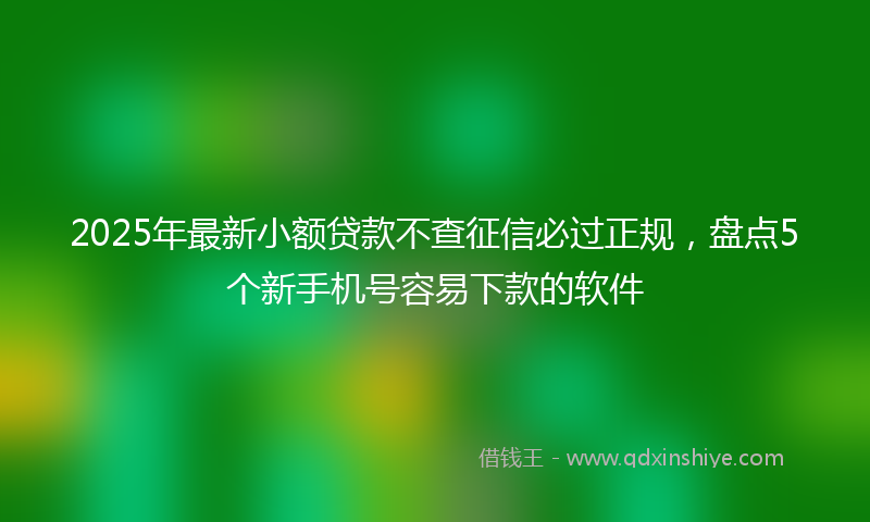 2025年最新小额贷款不查征信必过正规，盘点5个新手机号容易下款的软件