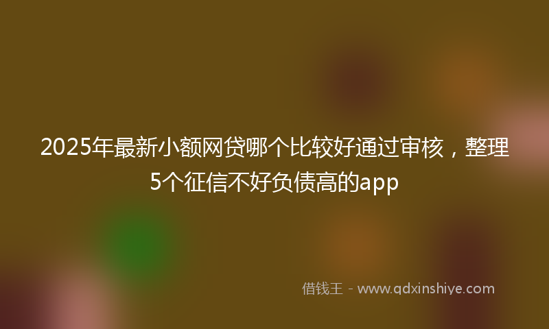 2025年最新小额网贷哪个比较好通过审核，整理5个征信不好负债高的app