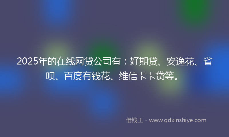 2025年的在线网贷公司有：好期贷、安逸花、省呗、百度有钱花、维信卡卡贷等。