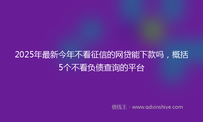 2025年最新今年不看征信的网贷能下款吗，概括5个不看负债查询的平台