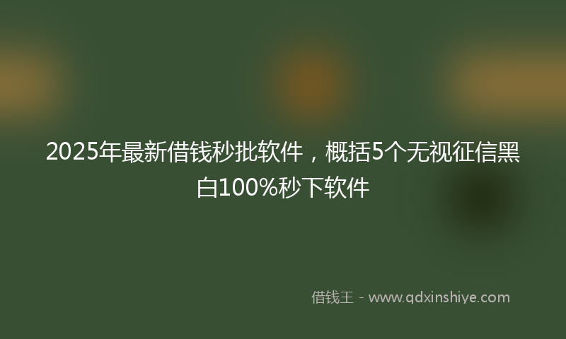 2025年最新借钱秒批软件，概括5个无视征信黑白100%秒下软件