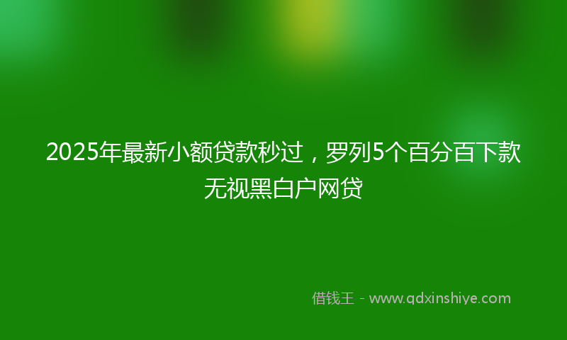 2025年最新小额贷款秒过，罗列5个百分百下款无视黑白户网贷
