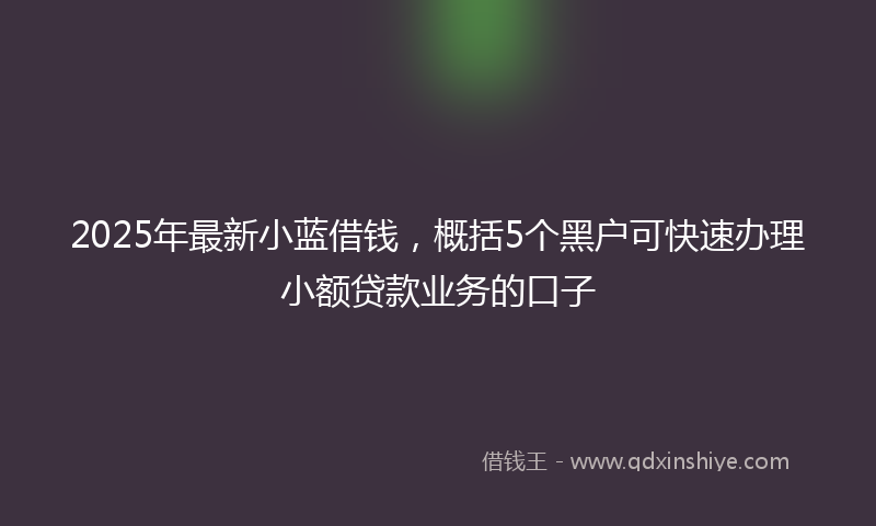 2025年最新小蓝借钱，概括5个黑户可快速办理小额贷款业务的口子