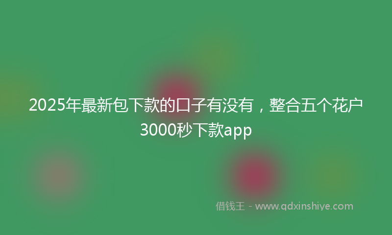 2025年最新包下款的口子有没有，整合五个花户3000秒下款app