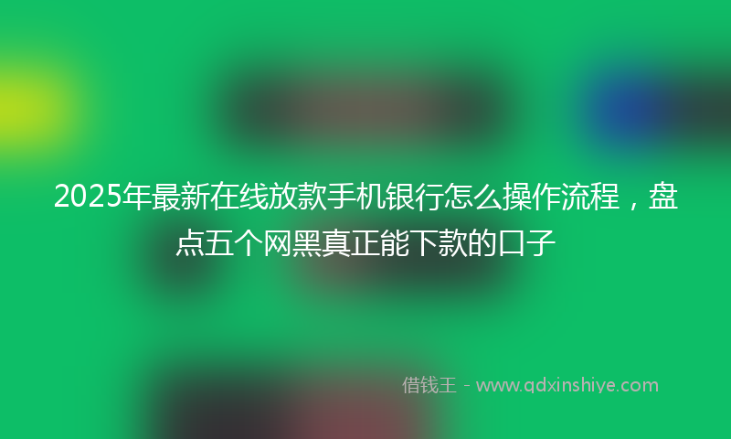 2025年最新在线放款手机银行怎么操作流程，盘点五个网黑真正能下款的口子