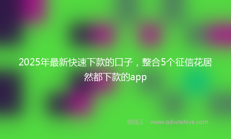 2025年最新快速下款的口子，整合5个征信花居然都下款的app