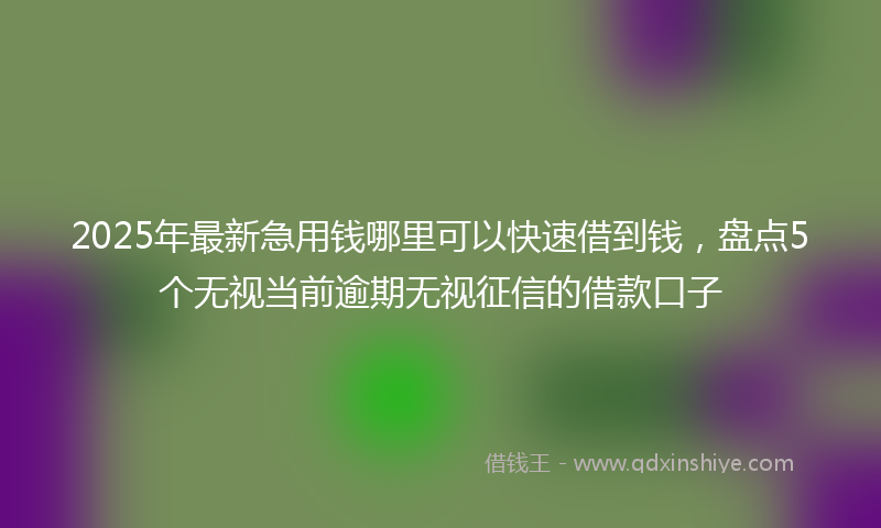 2025年最新急用钱哪里可以快速借到钱，盘点5个无视当前逾期无视征信的借款口子