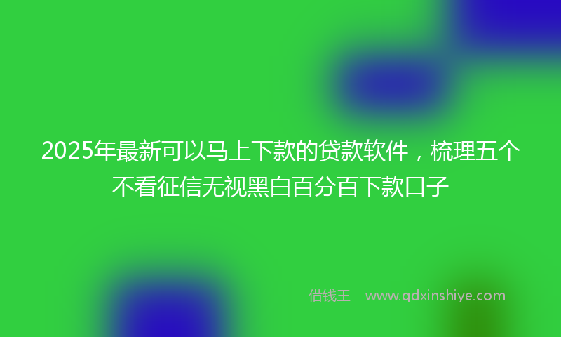 2025年最新可以马上下款的贷款软件，梳理五个不看征信无视黑白百分百下款口子