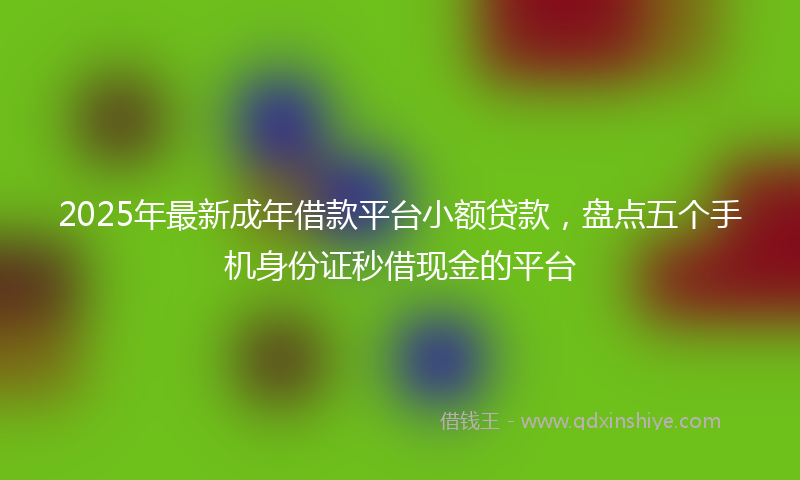 2025年最新成年借款平台小额贷款，盘点五个手机身份证秒借现金的平台