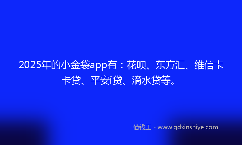 2025年的小金袋app有：花呗、东方汇、维信卡卡贷、平安i贷、滴水贷等。