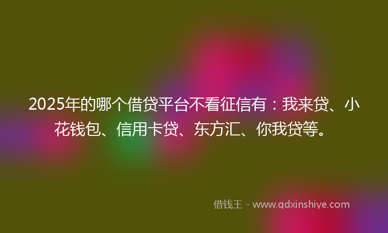 2025年的哪个借贷平台不看征信有：我来贷、小花钱包、信用卡贷、东方汇、你我贷等。