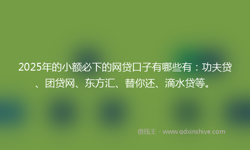 2025年的小额必下的网贷口子有哪些有：功夫贷、团贷网、东方汇、替你还、滴水贷等。