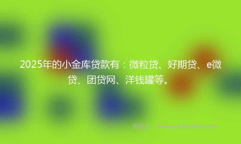2025年的小金库贷款有：微粒贷、好期贷、e微贷、团贷网、洋钱罐等。