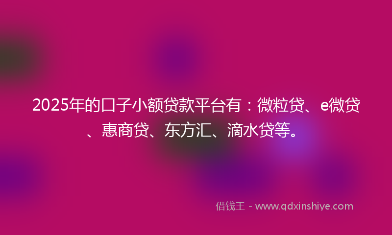 2025年的口子小额贷款平台有：微粒贷、e微贷、惠商贷、东方汇、滴水贷等。