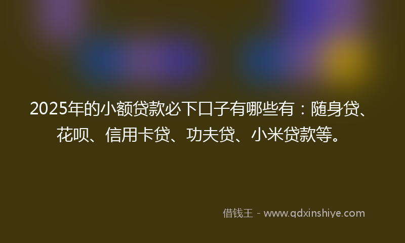 2025年的小额贷款必下口子有哪些有：随身贷、花呗、信用卡贷、功夫贷、小米贷款等。