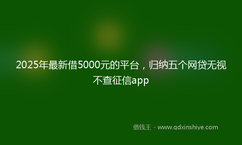 2025年最新借5000元的平台，归纳五个网贷无视不查征信app