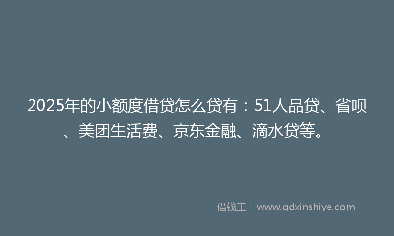 2025年的小额度借贷怎么贷有：51人品贷、省呗、美团生活费、京东金融、滴水贷等。