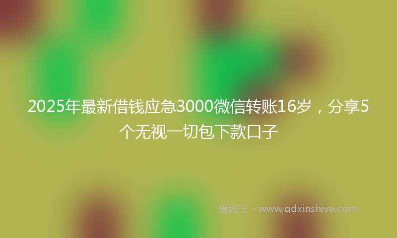 2025年最新借钱应急3000微信转账16岁，分享5个无视一切包下款口子