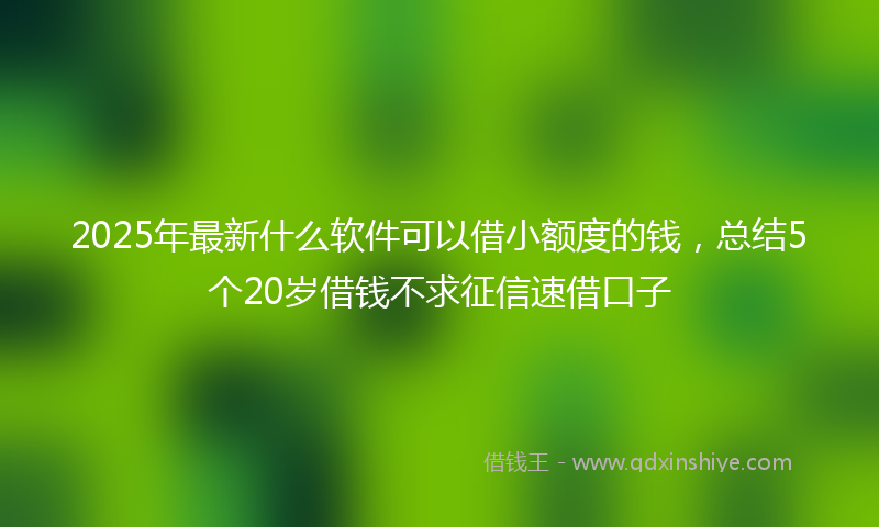 2025年最新什么软件可以借小额度的钱，总结5个20岁借钱不求征信速借口子