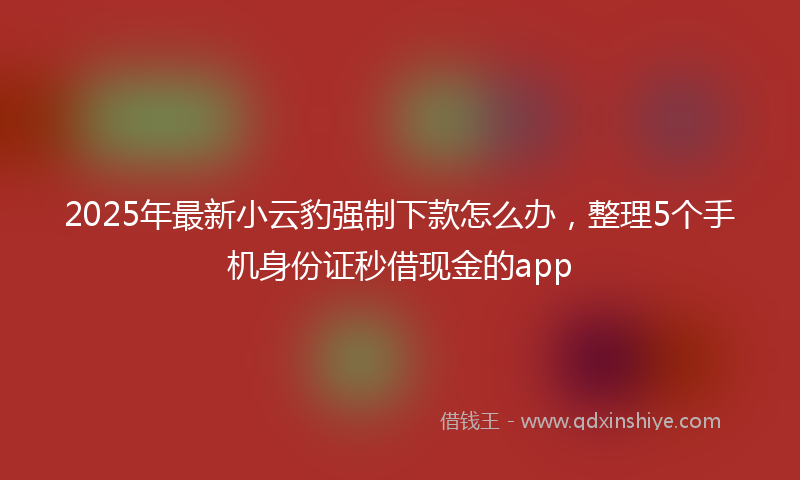 2025年最新小云豹强制下款怎么办，整理5个手机身份证秒借现金的app