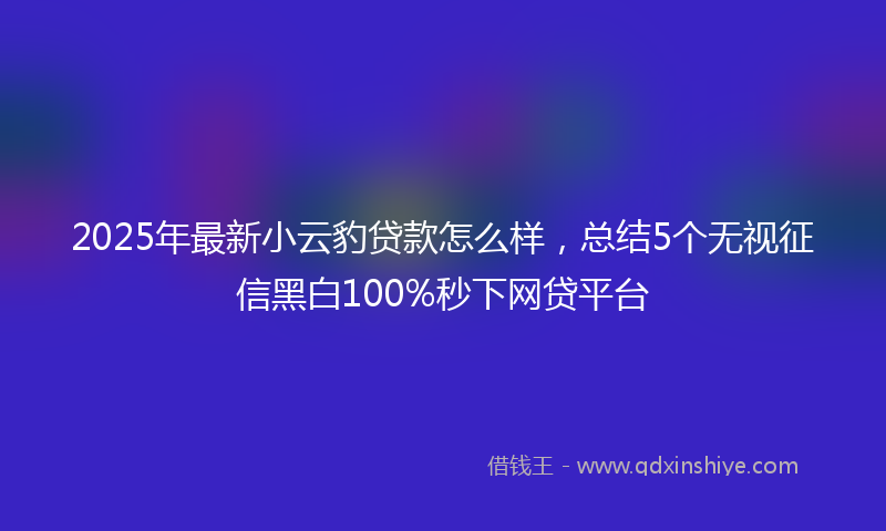 2025年最新小云豹贷款怎么样，总结5个无视征信黑白100%秒下网贷平台