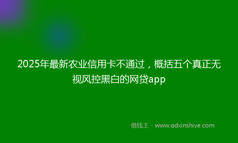 2025年最新农业信用卡不通过，概括五个真正无视风控黑白的网贷app